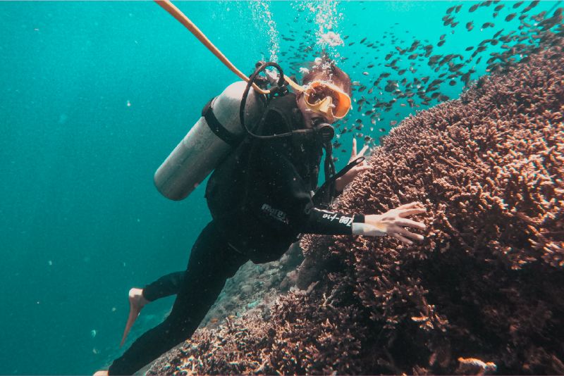 Fun Dive Adventure - Water Sports Bali Nusa Penida