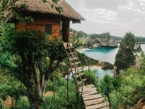 CBG_TRV_East Penida_Tree House_01