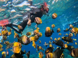 CBG_TRV_Snorkeling Diving Spot_Wall Point_01