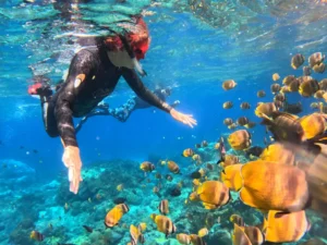 CBG_TRV_Snorkeling Diving Spot_Wall Point_02
